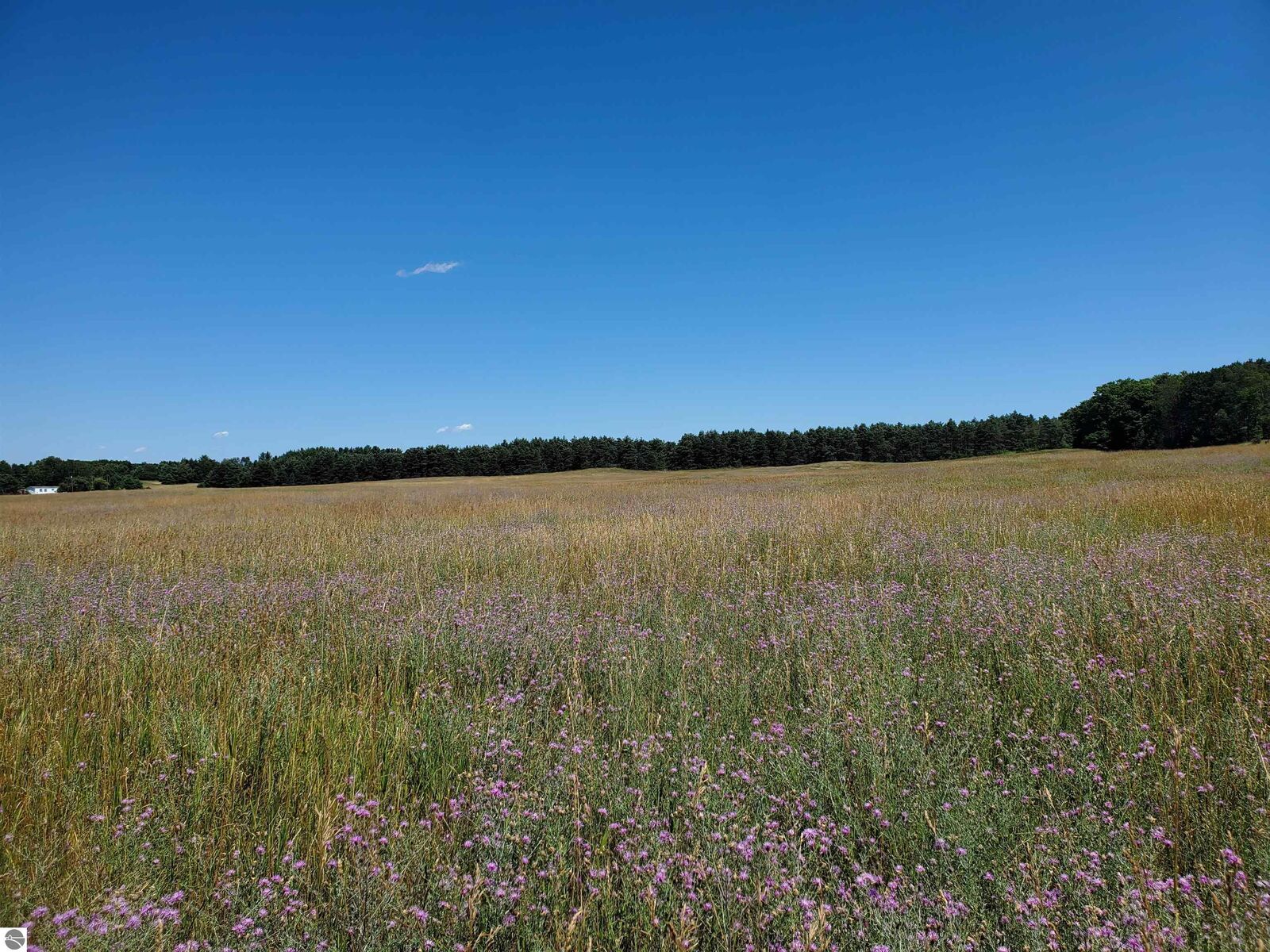 Property Photo:  0 S Mackinaw Trail  MI 49601 