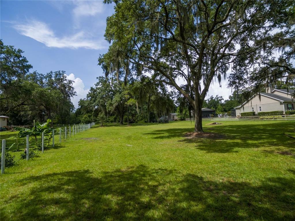 Property Photo: 3617 Overstreet Lane FL 33594