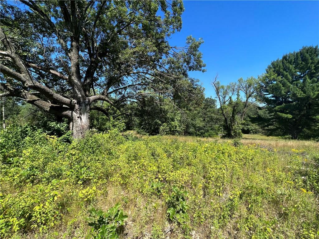 Property Photo:  Lot 1 Curvue Road  WI 54703 