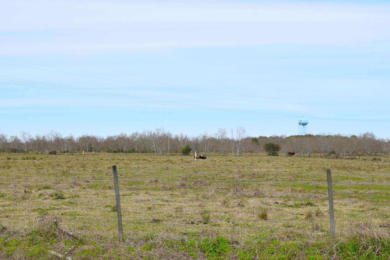 Property Photo:  002 E Hamshire Rd  TX 77622 