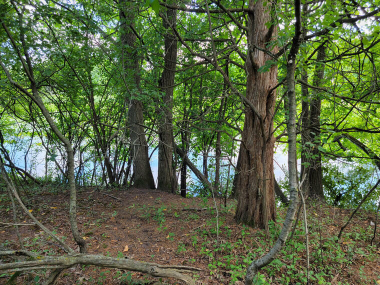 Property Photo: Lt20 Road L Rd WI 53066