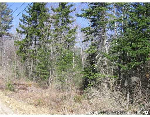 Property Photo:  0 Tidal Creek Road  ME 04858 