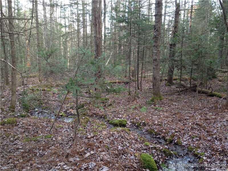 Property Photo:  00 Common Road  ME 04342 