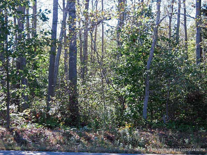 Property Photo: 00 River Road ME 04860
