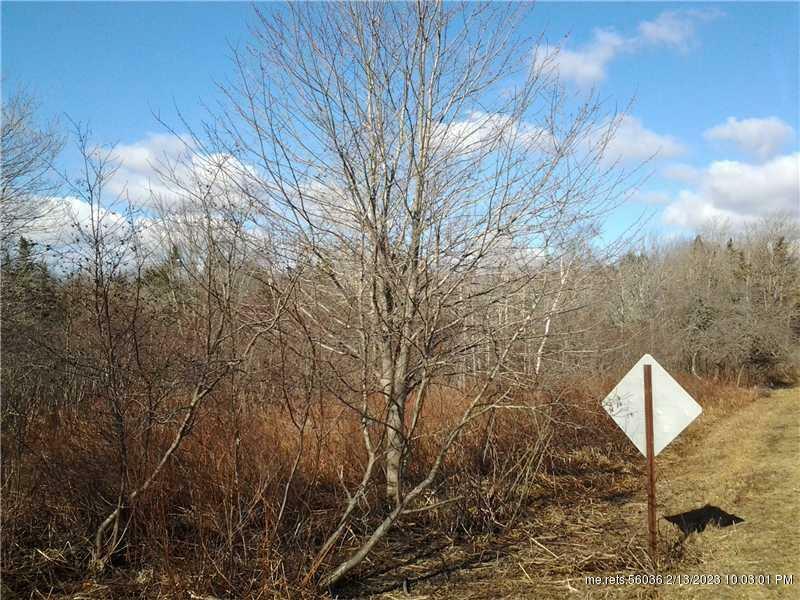 Property Photo:  Lot 4 Hendrickson Point  ME 04854 