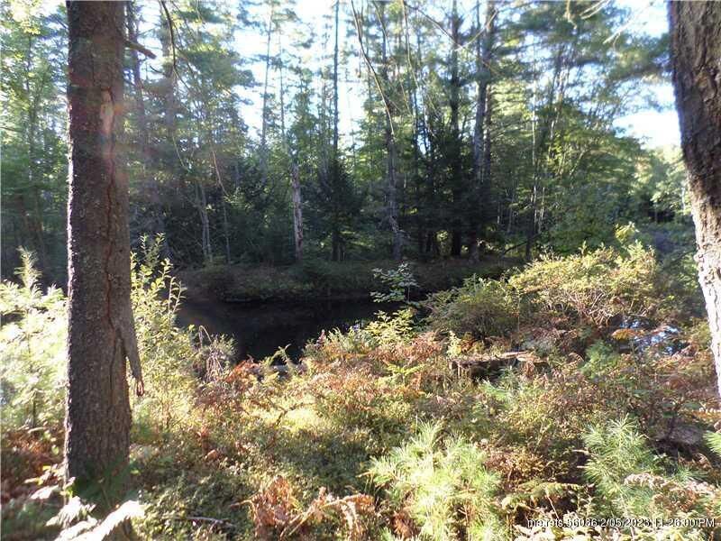 Property Photo:  15 Alder Lane  ME 03901 
