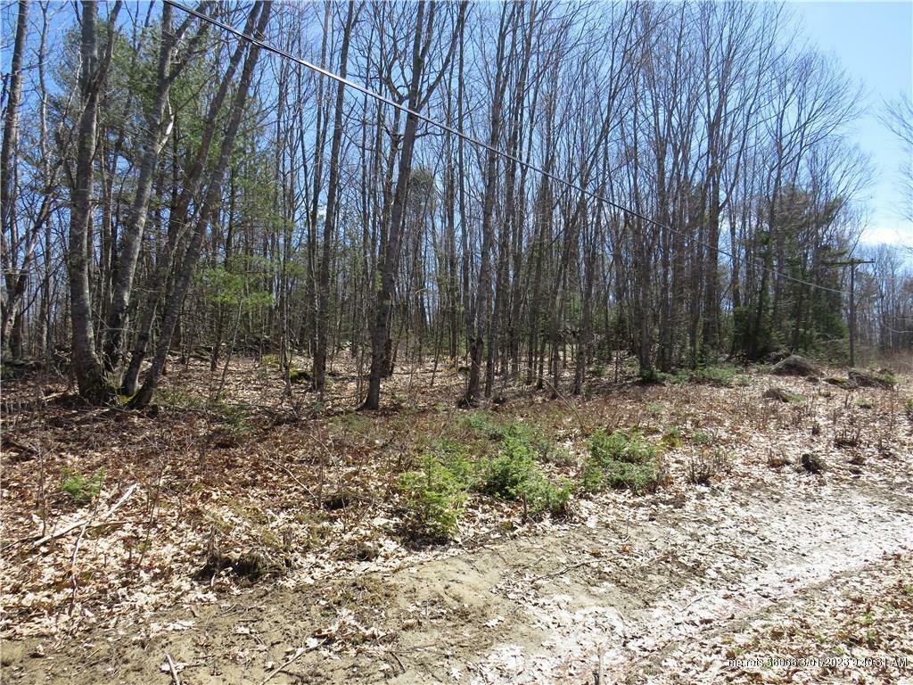 Property Photo:  1281 Feylers Corner Road  ME 04572 