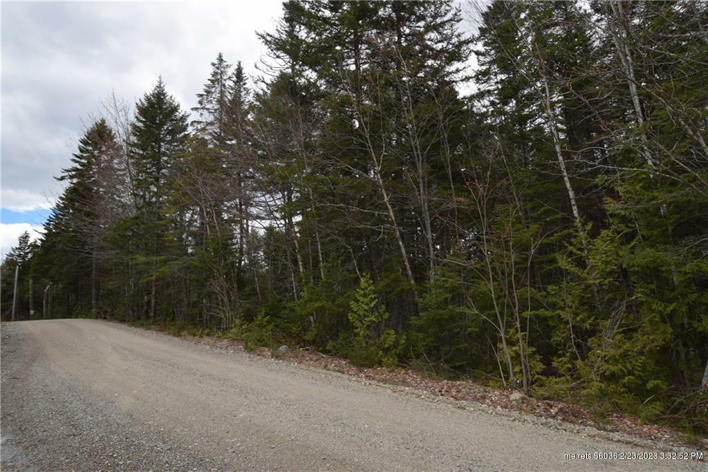 Property Photo:  Lot 78 Nepp Point  ME 04654 