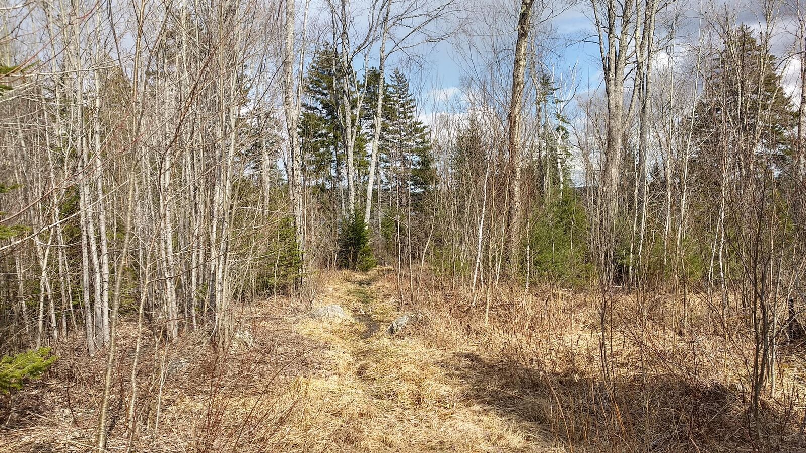 Property Photo:  Lot 1 Leach Road  ME 04976 