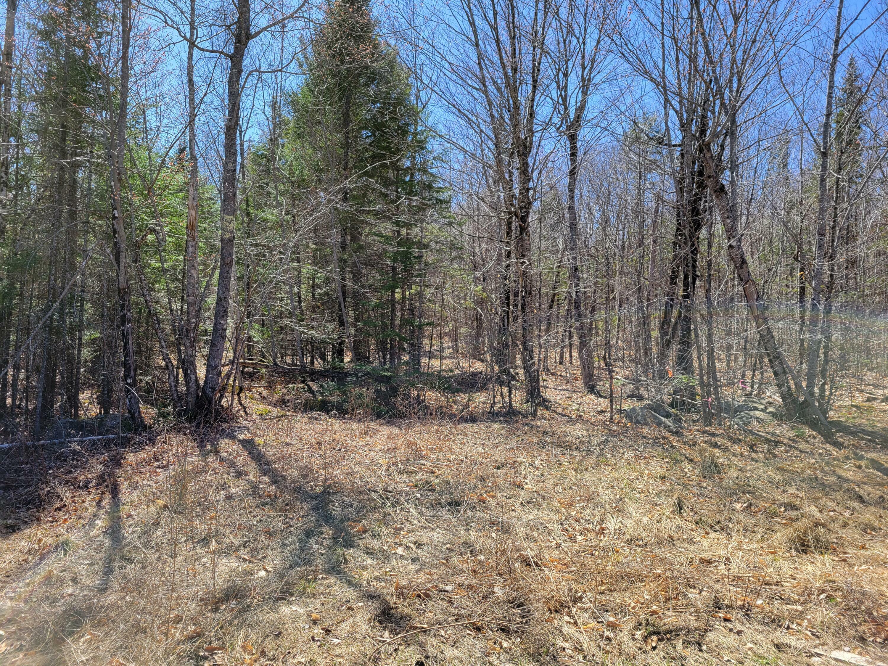 Property Photo:  Lot 1 Bear Mountain Way  ME 04915 