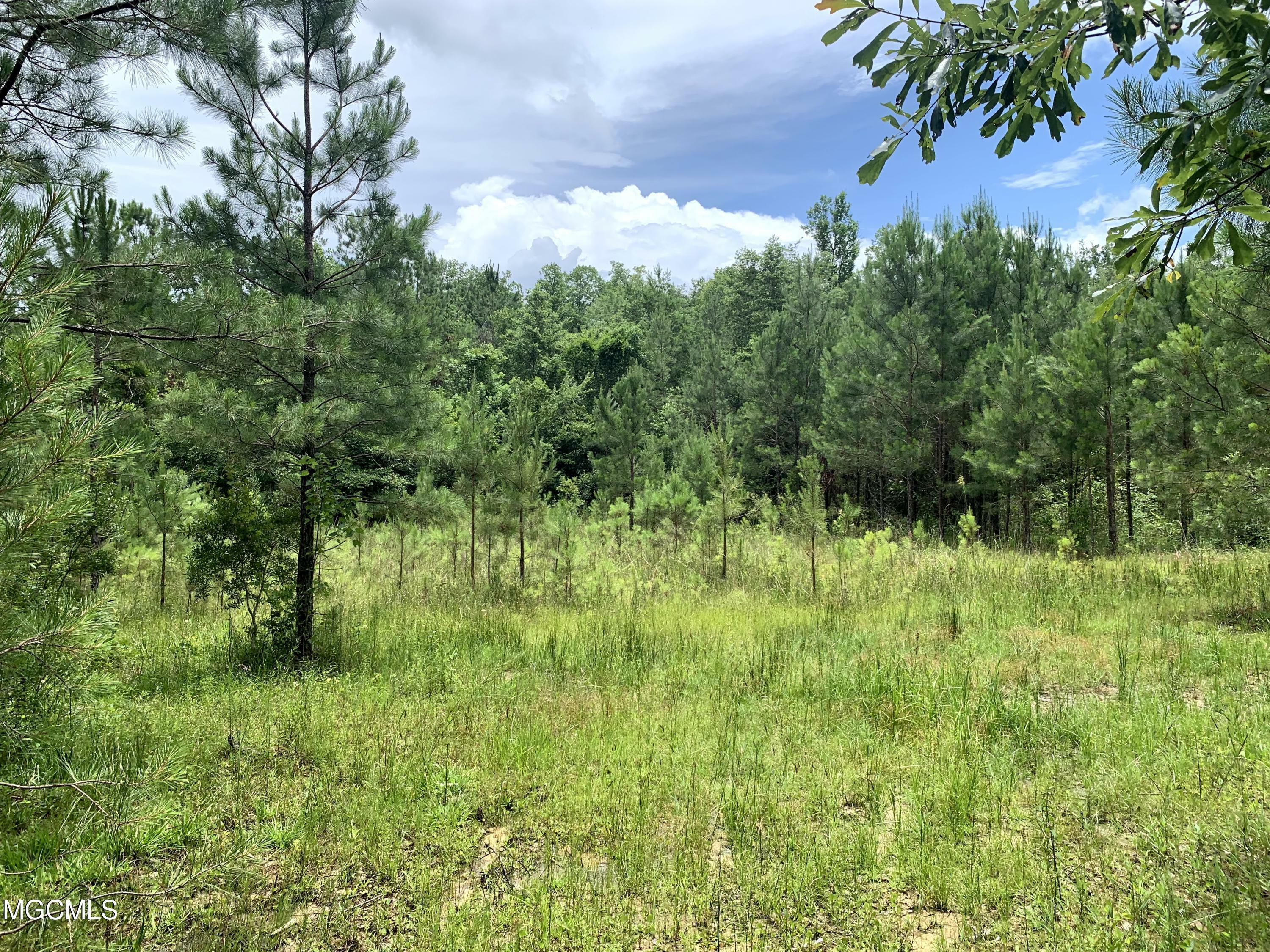 Property Photo:  100 Acres Shaw Road  MS 39573 