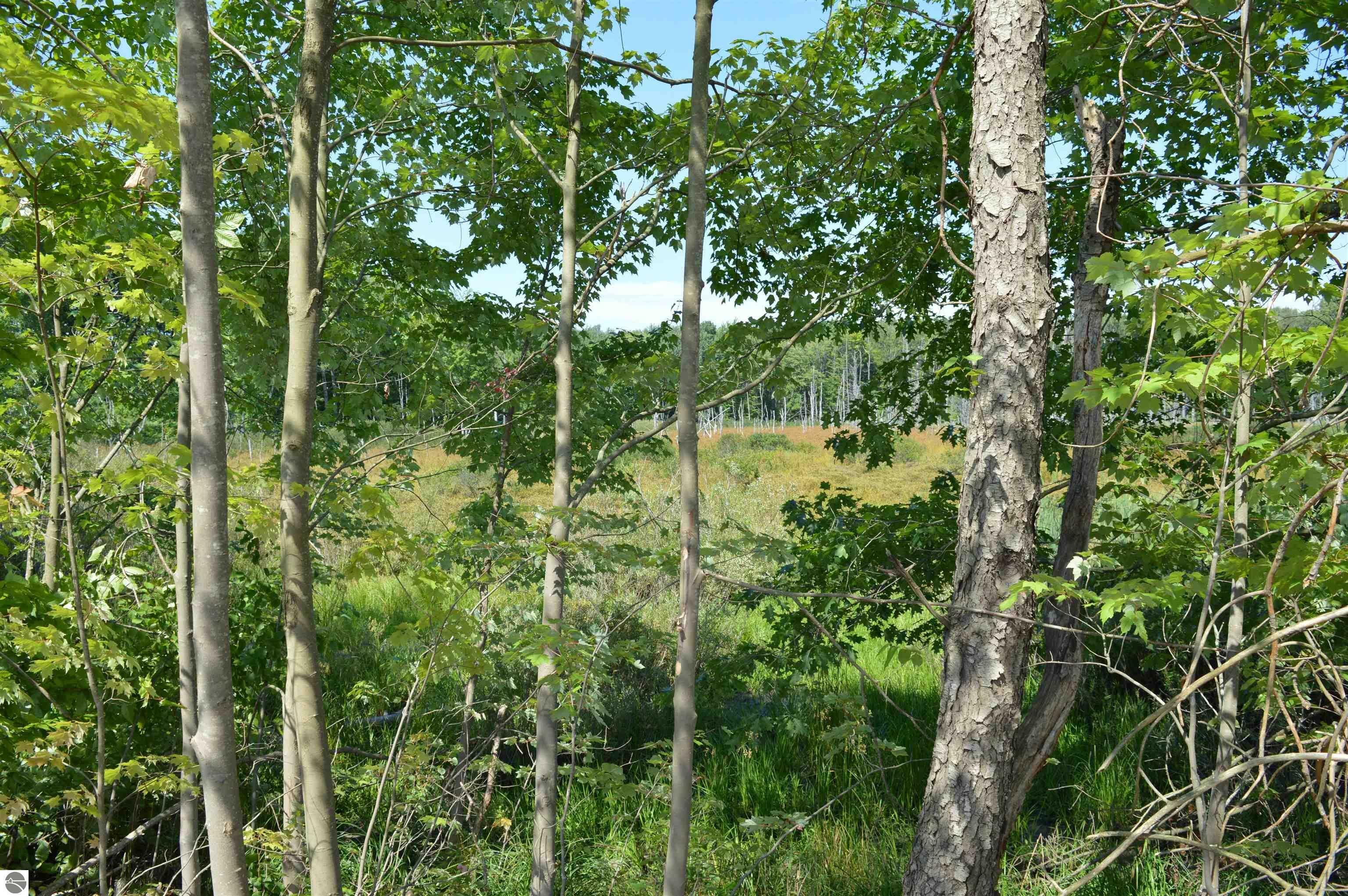 Property Photo: 7720 SW US-131 MI 49680