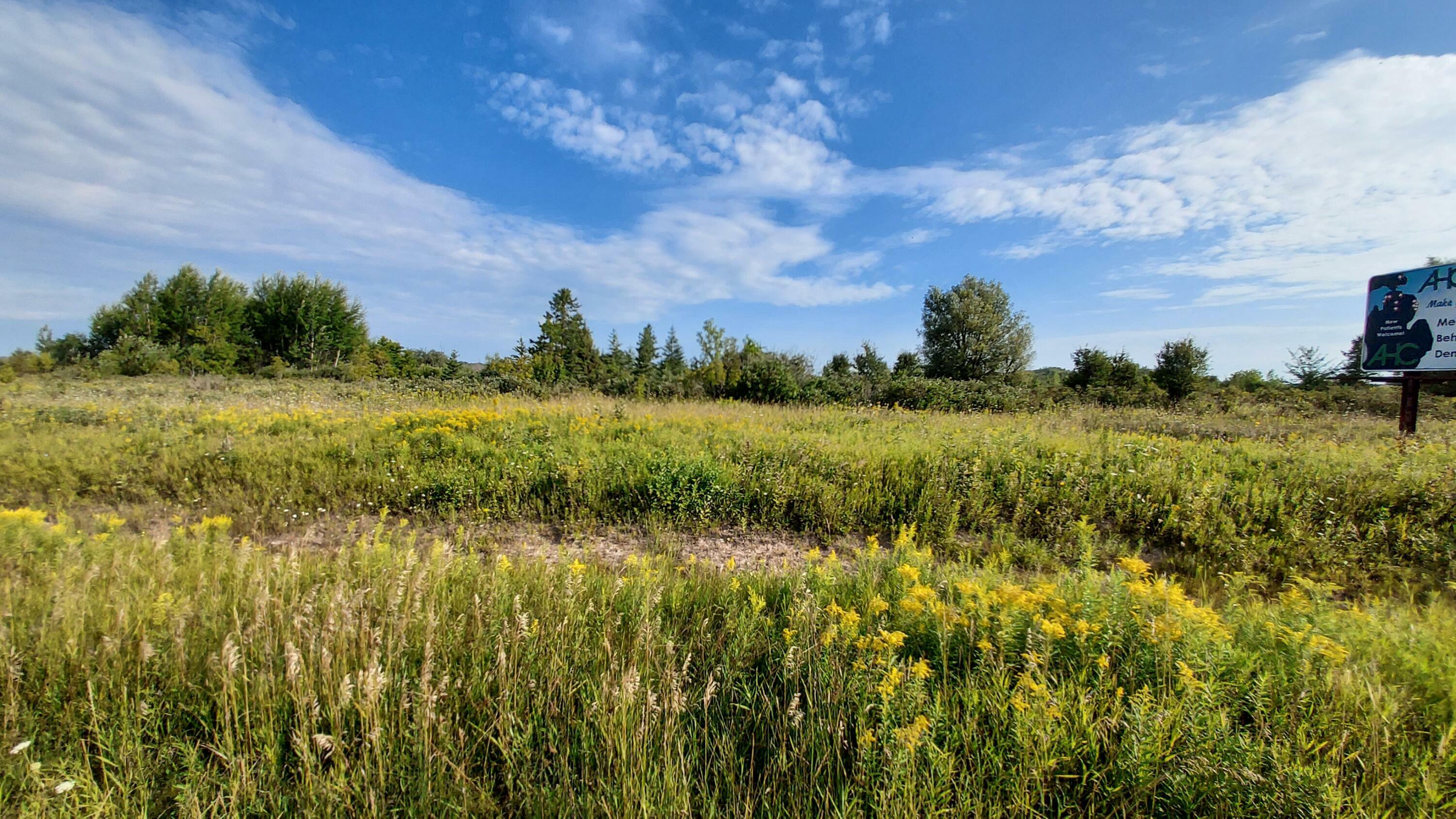 Property Photo:  E State Street  MI 49721 