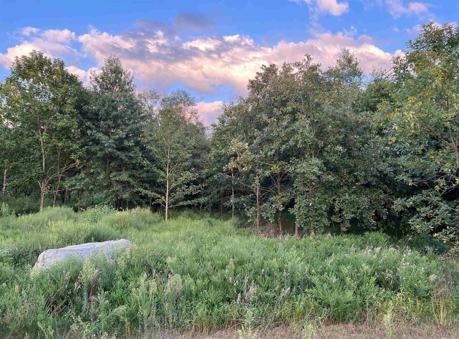 Property Photo: 4522 Zoar Church Road IN 47613-7000