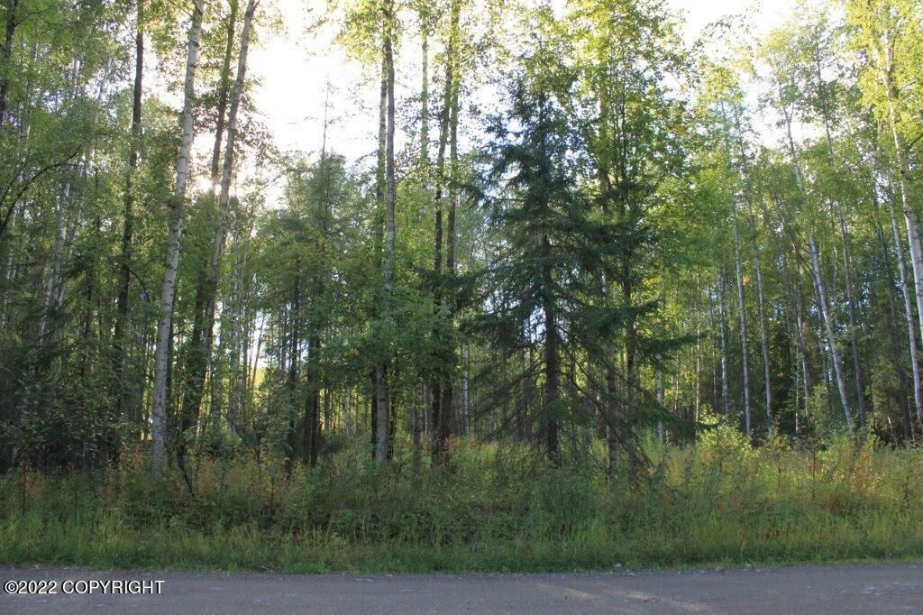 Property Photo:  12543 W Leprechaun Drive  AK 99623 
