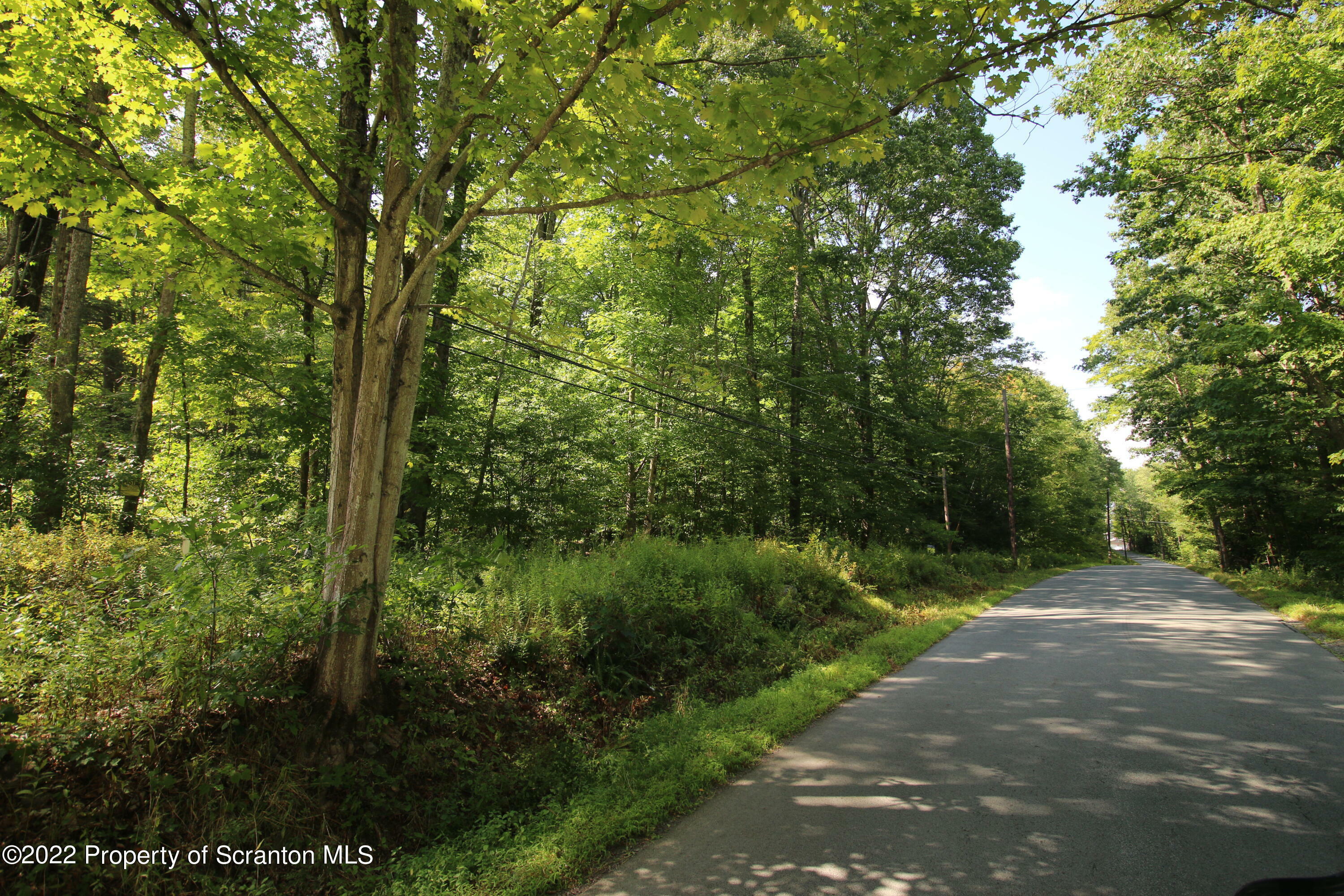 Property Photo:  Hitchcock Road  PA 18444 