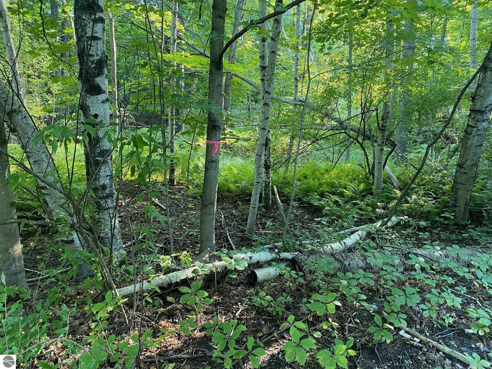Property Photo:  Allegheny Trail  MI 49631 