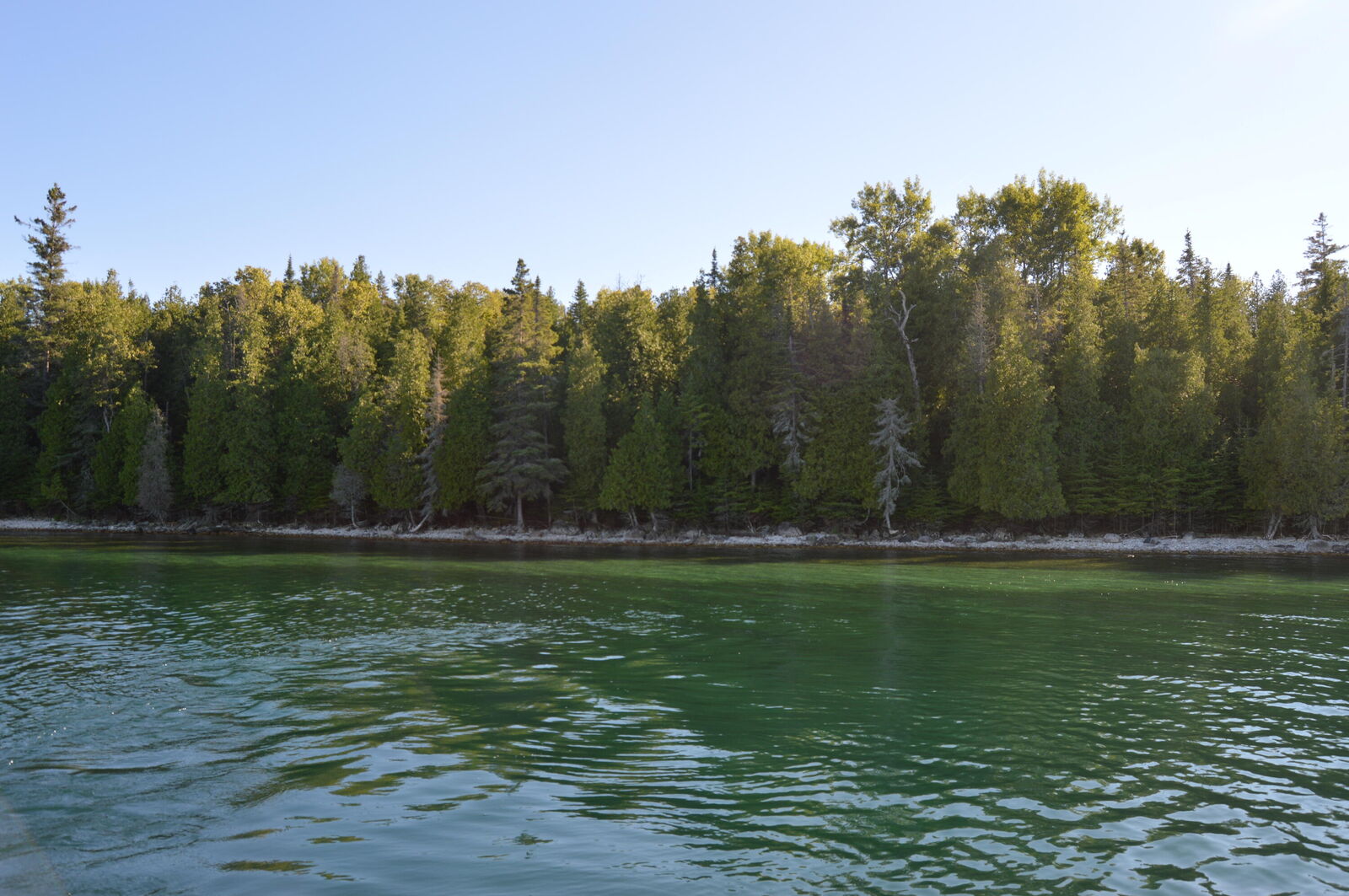 Property Photo:  Xxx S Coryell Island  MI 49719 