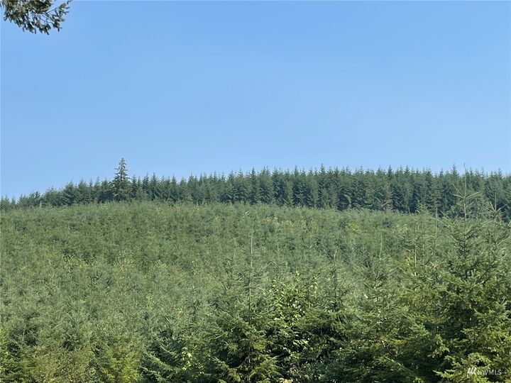 Property Photo:  0  Ostrander Road  WA 98626 