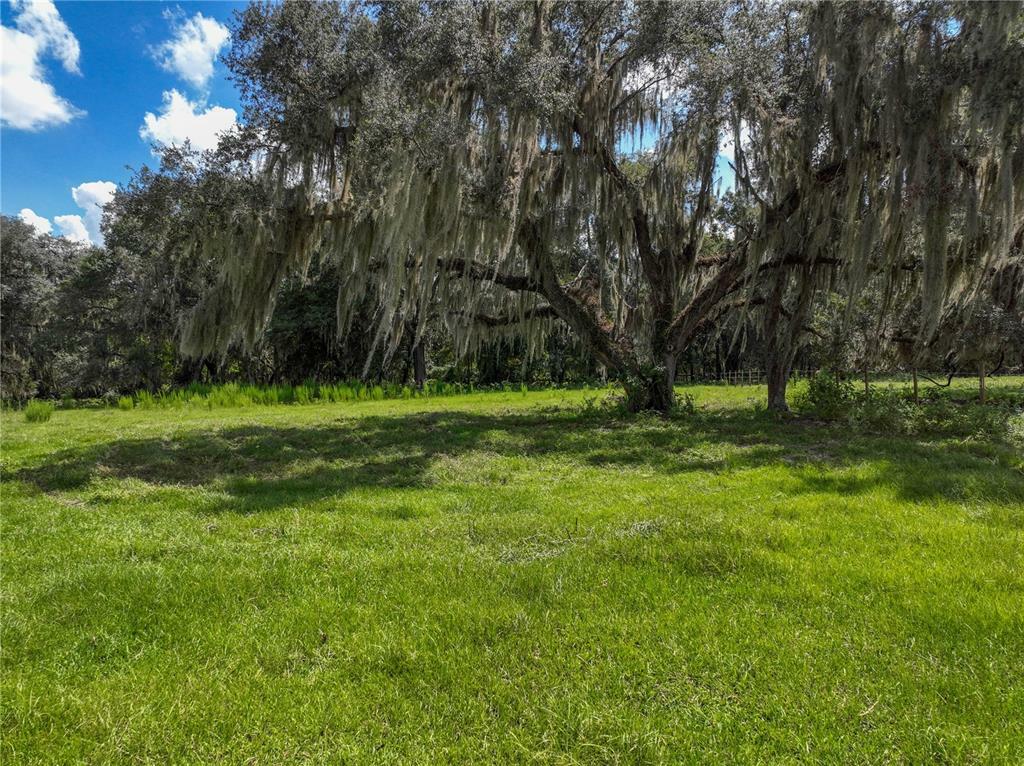 Property Photo:  136 Depot Road  FL 32640 