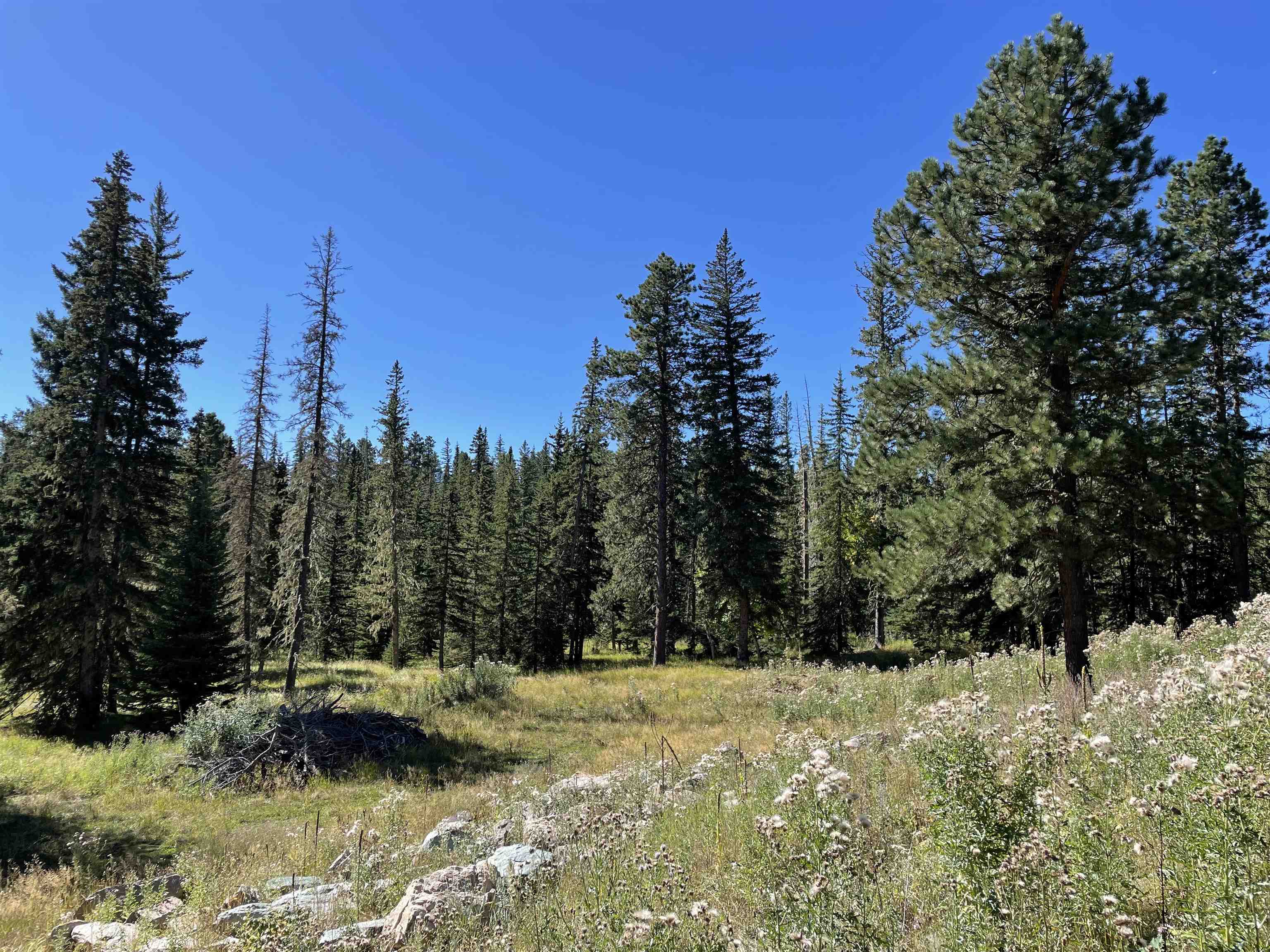 Property Photo:  Lot 18A Woodland Springs Road  SD 57754 