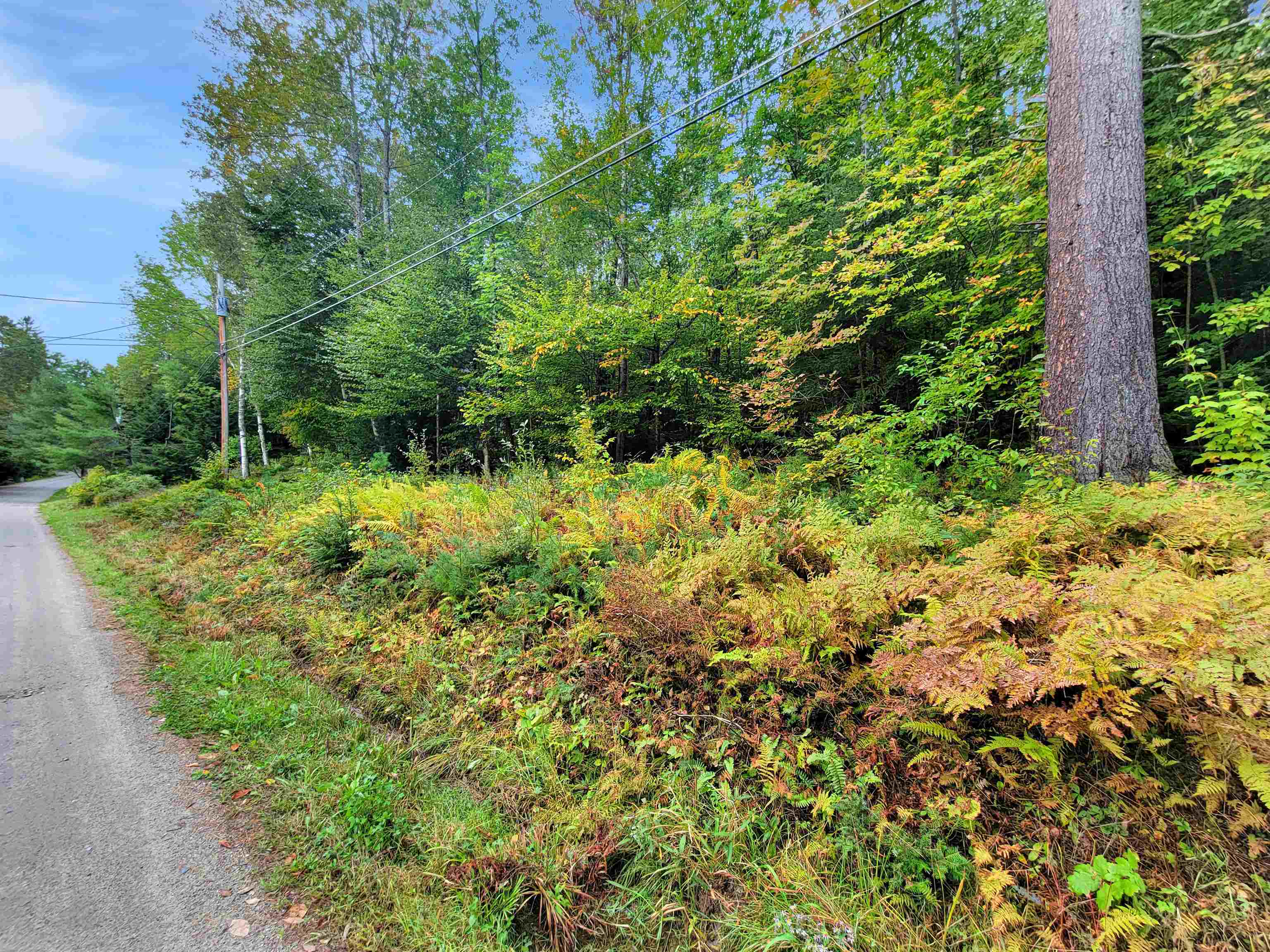 Property Photo: 201-096 Lakeside Drive NH 03784