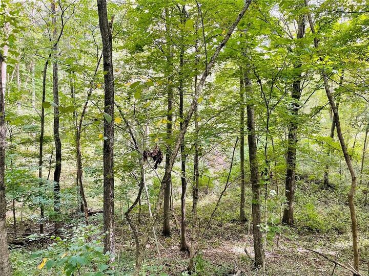 Property Photo:  Lot 3  IL 62458 