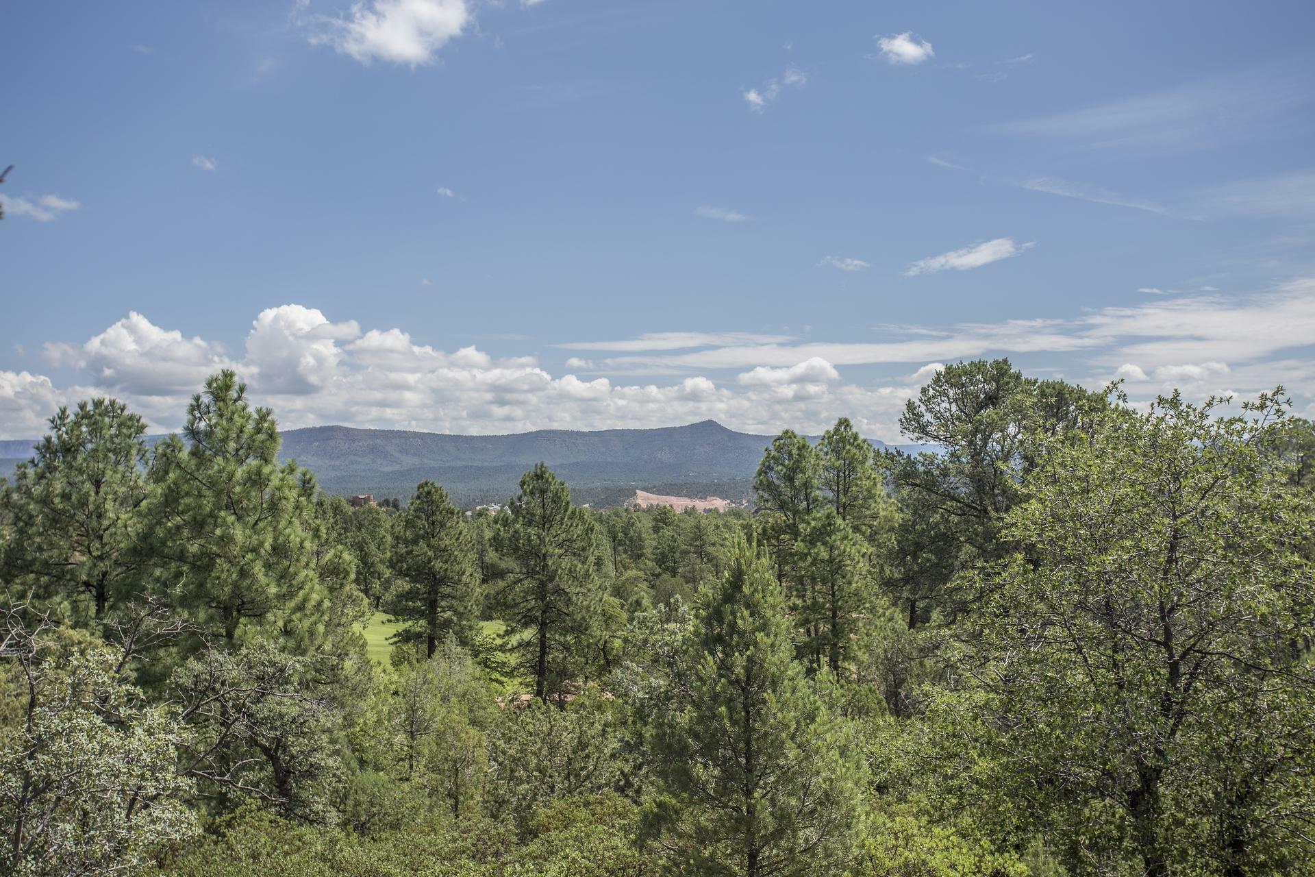 Property Photo:  600 S Valhalla  AZ 85541 