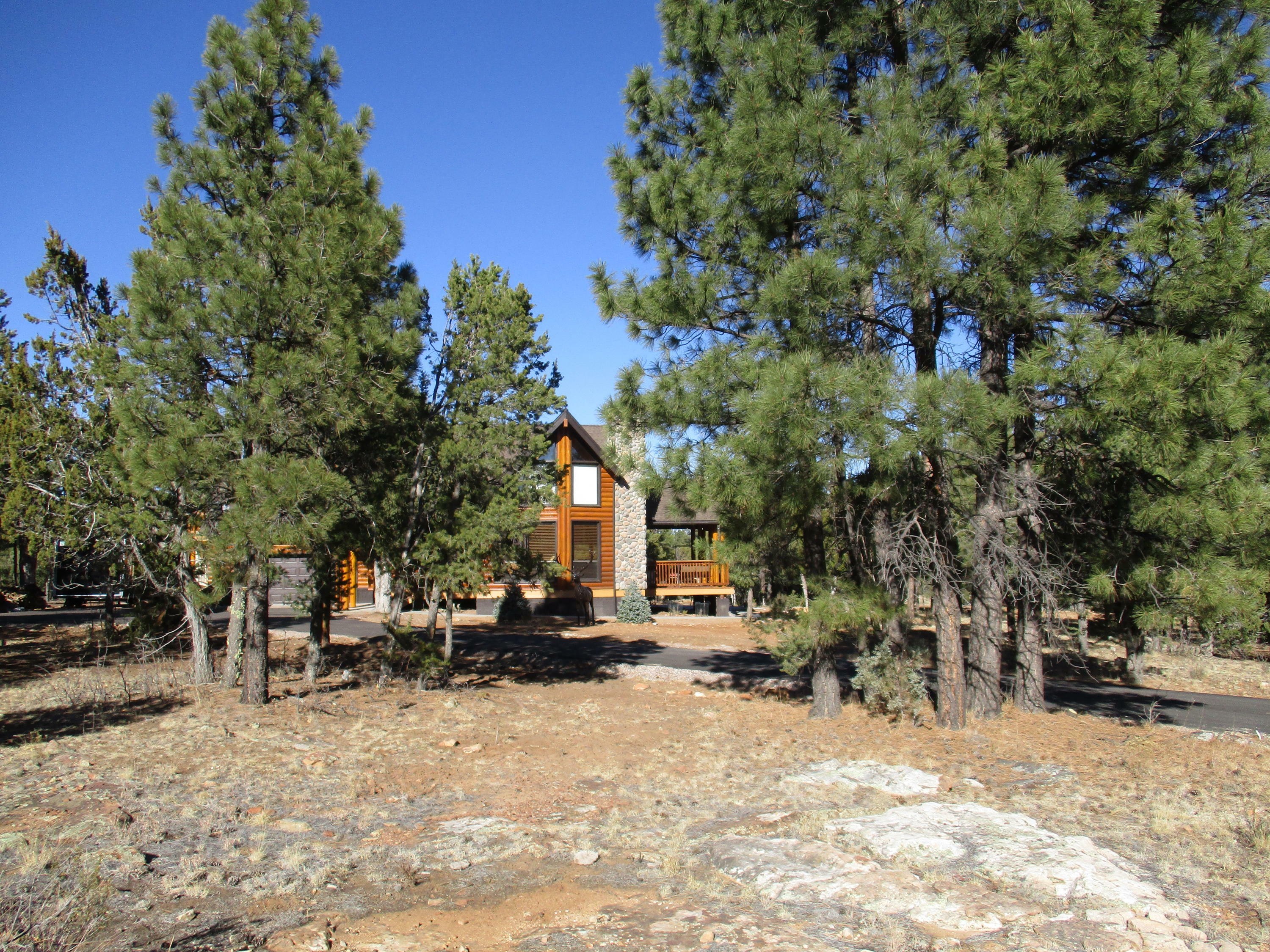 Property Photo:  4385 Twin Oaks Loop  AZ 86024 