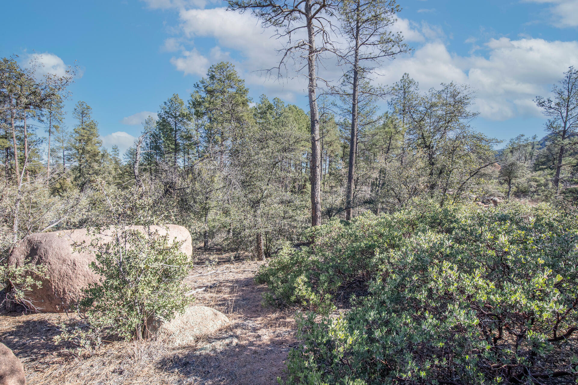 Property Photo:  1304 S Bent Tree Circle  AZ 85541 