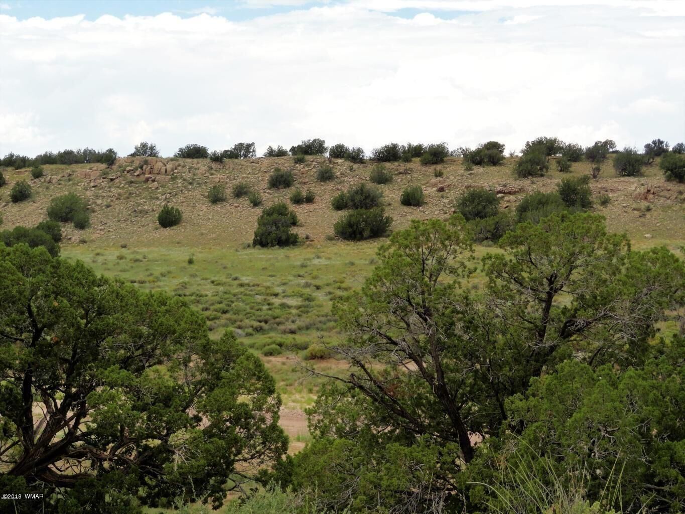 Property Photo:  5796 Chevelon Canyon ( Lot 107) Drive  AZ 85928 
