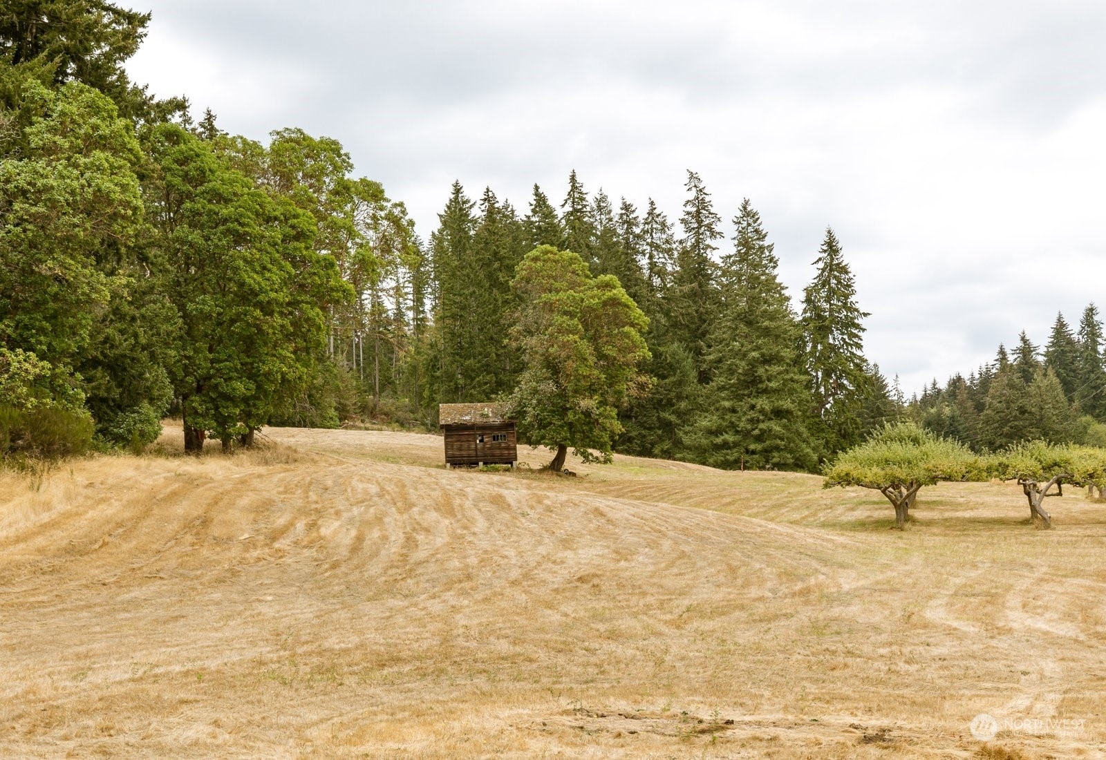 Property Photo:  0 Lot#1 Kramer Road  WA 98260 