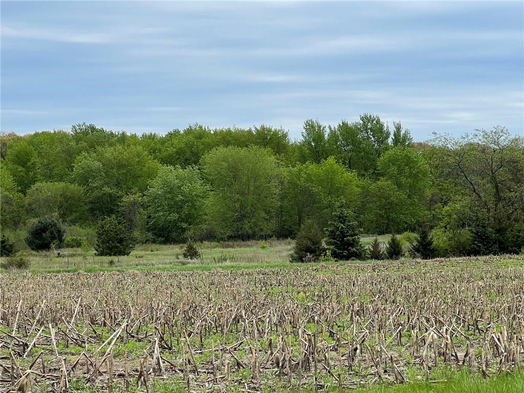 Property Photo:  Lot 20 Mertinke Landing  WI 54701 