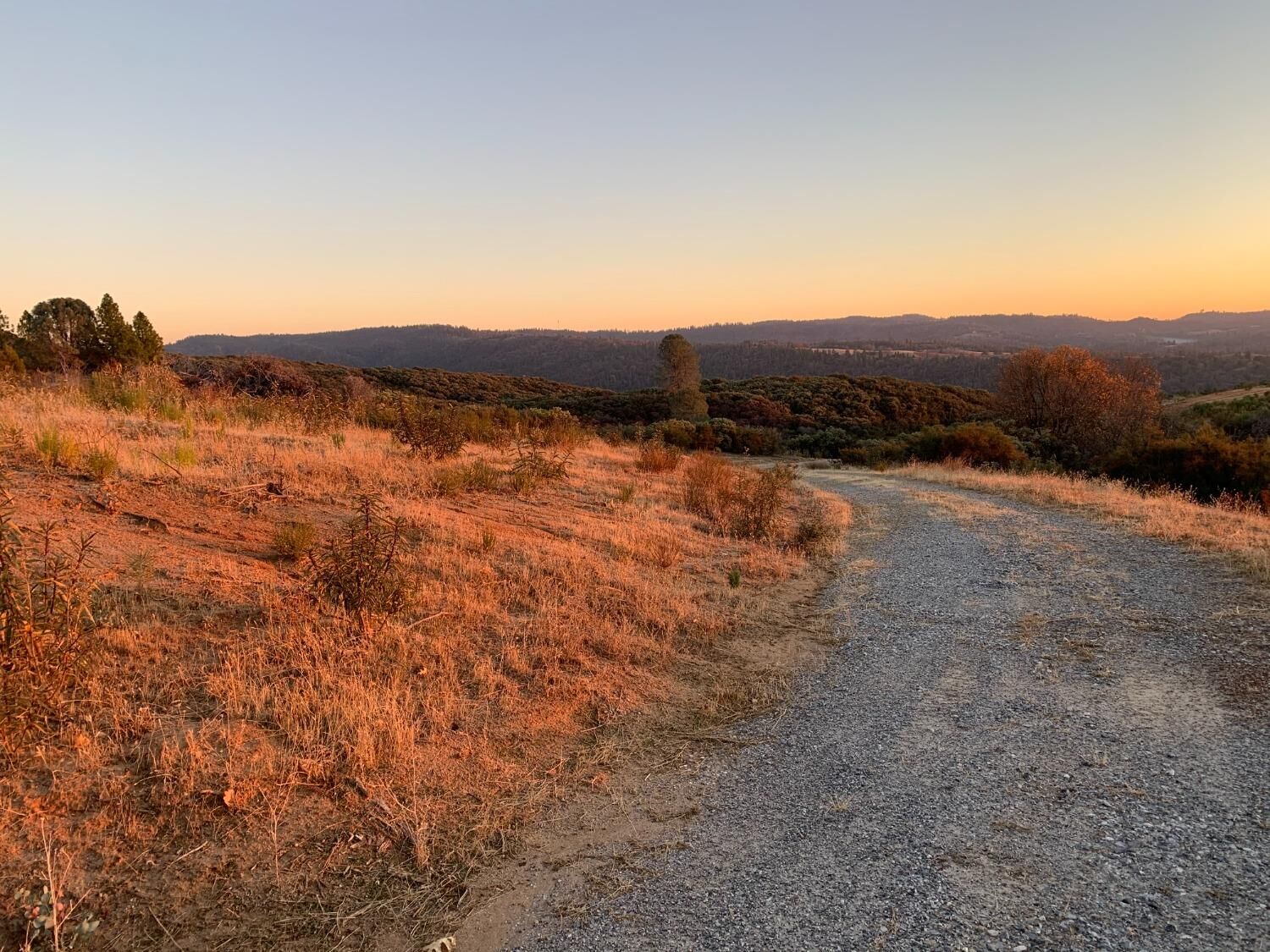 Property Photo:  20 Acres Snowbird Lane  CA 95684 