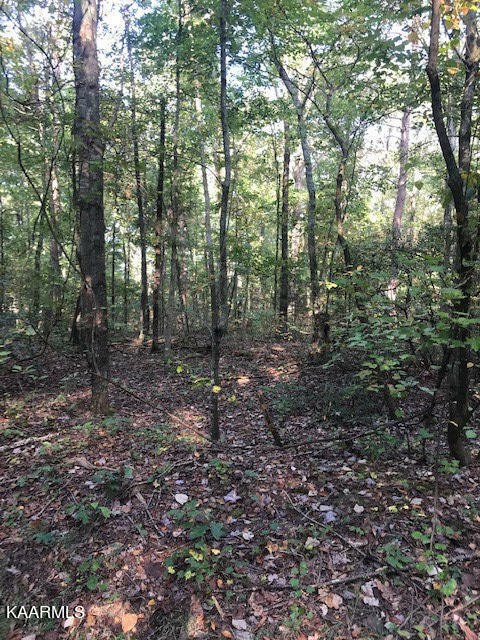 Property Photo: Lot 9 Mountain View Road TN 37307