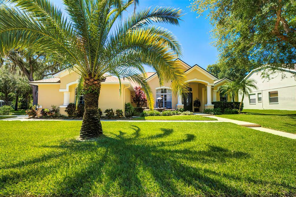Property Photo: 12604 River Birch Drive FL 33569