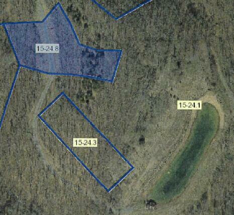 Property Photo: Lot 3 - Whispering Hollow WV 24983