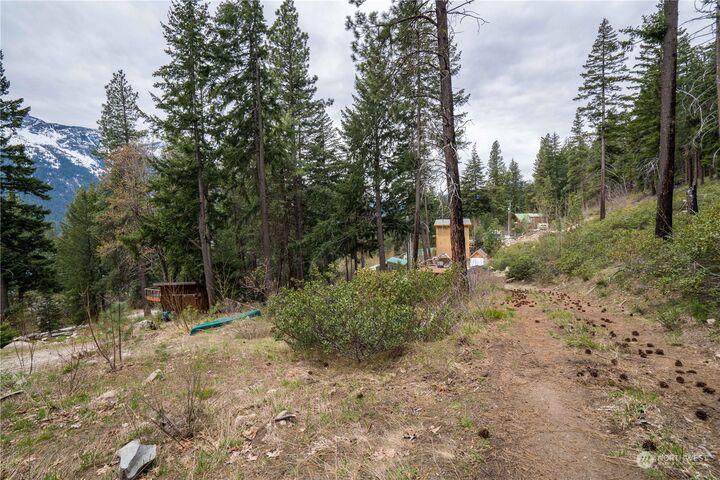 Property Photo:  32 Fall Creek Lane  WA 98826 
