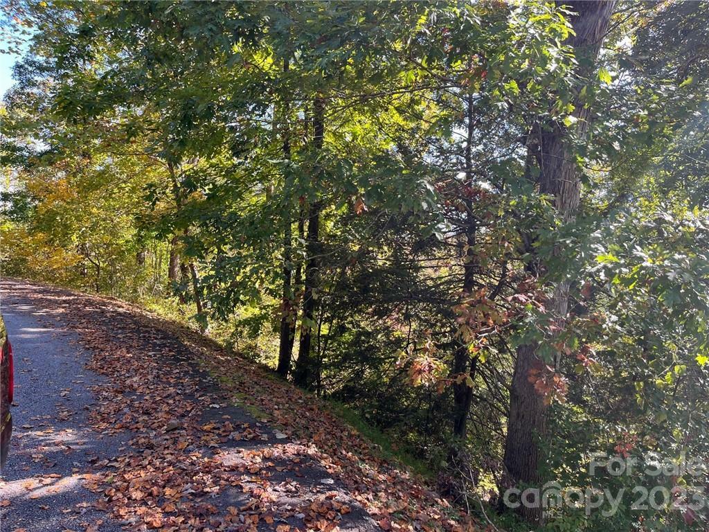 Property Photo:  000 Rambling Creek Road 11  NC 28782 