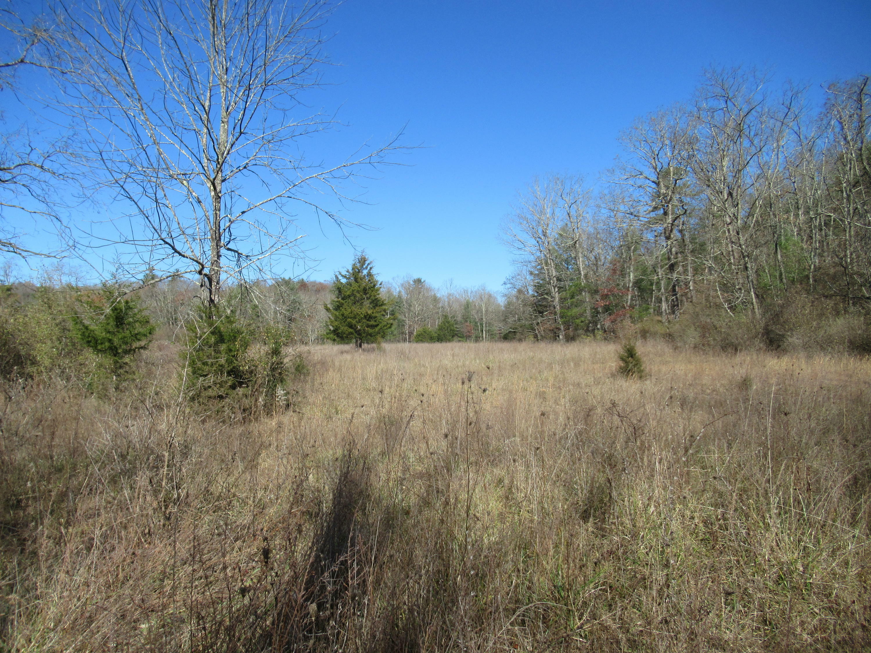 Property Photo:  Stonehenge Parkway  WV 24901 