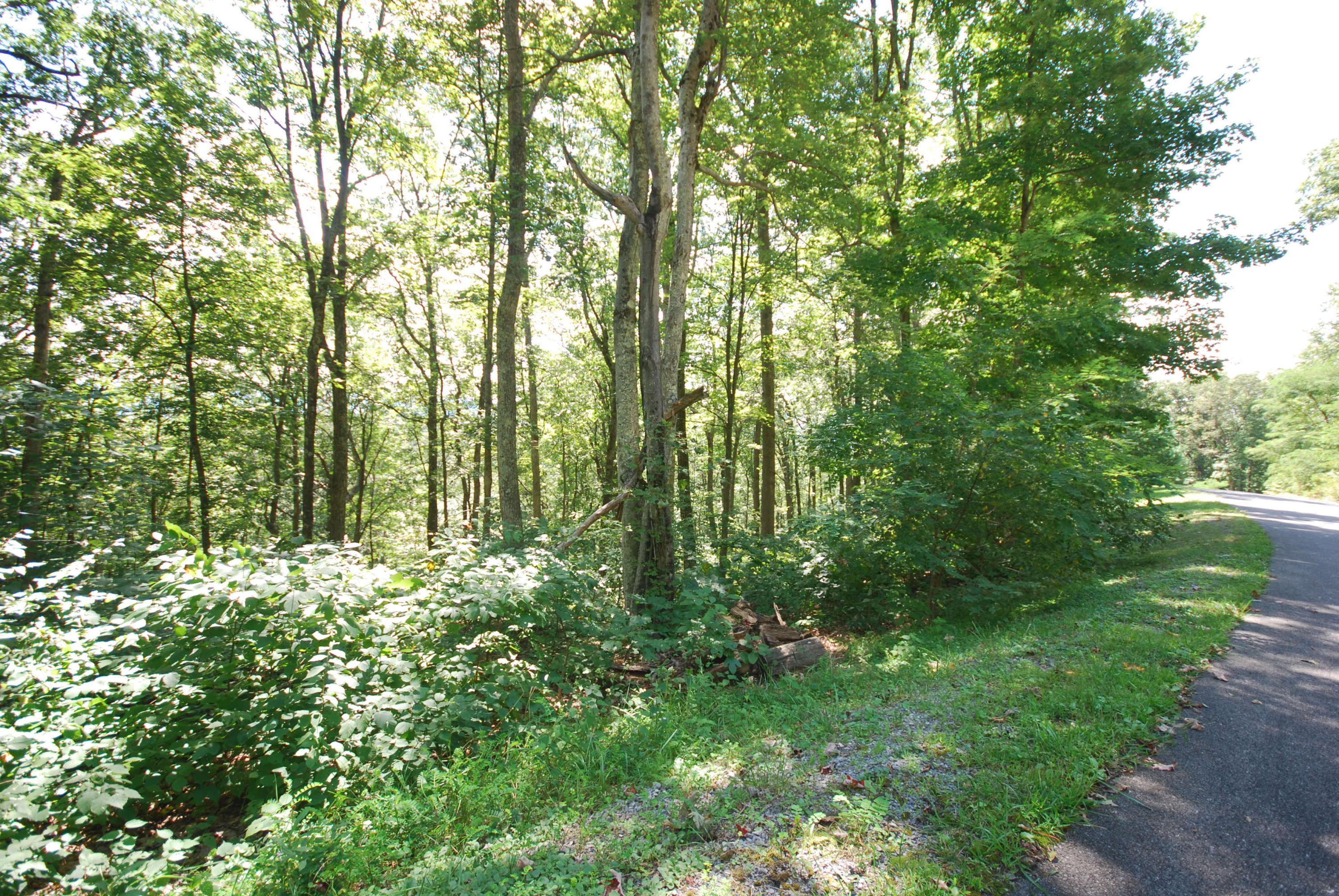 Property Photo:  540 Summit Village Tr. Gsv 24  WV 24986 