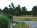 Property Photo:  0 Pine Ridge Ranch Lot 1  MO 63736 