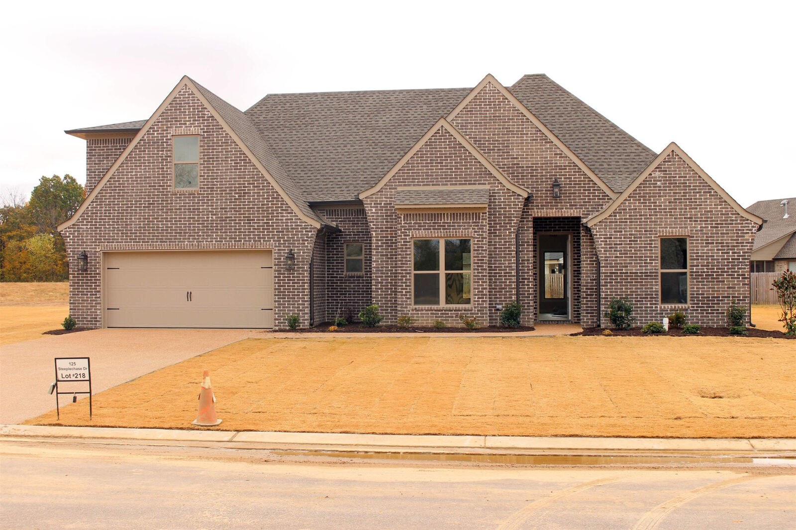 Property Photo: 125 Steeplechase Drive (Lot 218) TN 38355