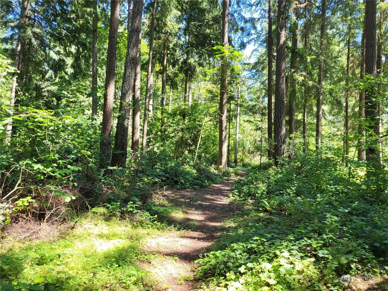 Property Photo: 18110 79th Avenue E WA 98375