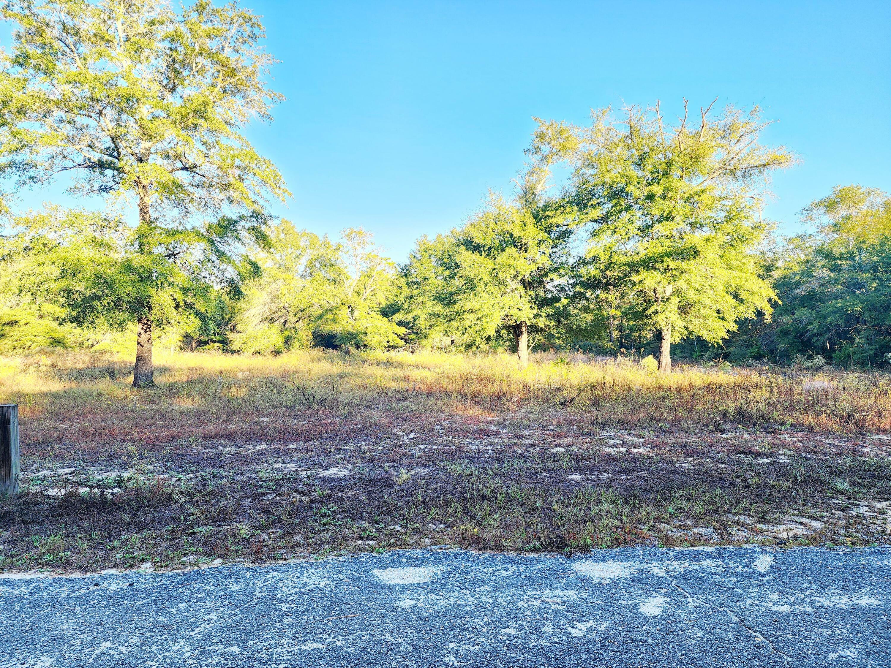 Property Photo:  515 Peacock Road  FL 32433 