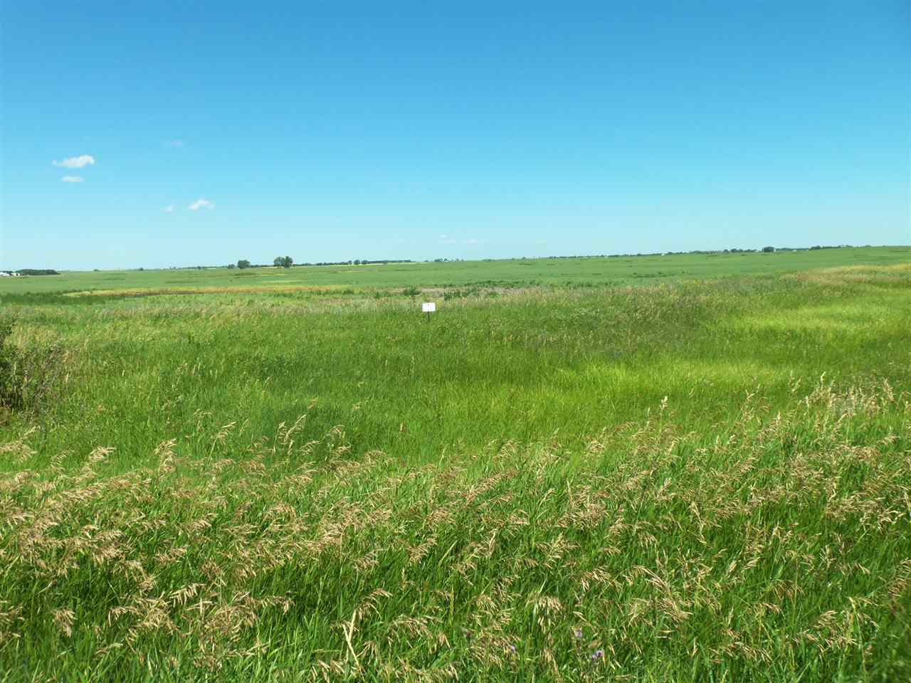160 Acres Township 151N, Range 86W, Section 8 SW 1/4  Ryder ND 58779 photo