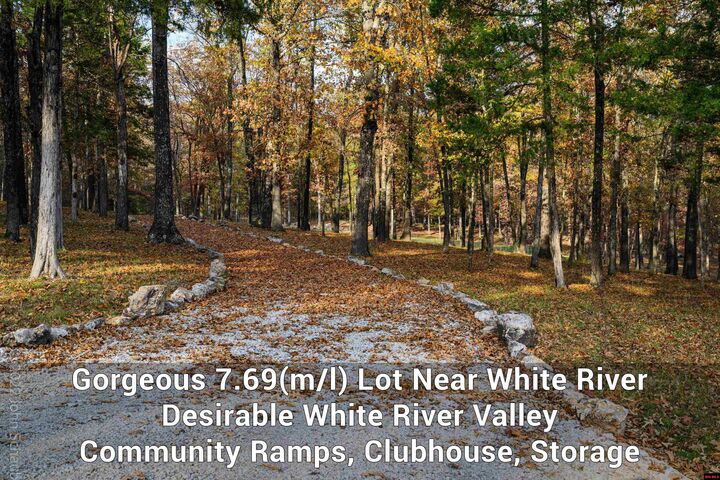 770 Cougar Drive  Mountain Home AR 72653 photo