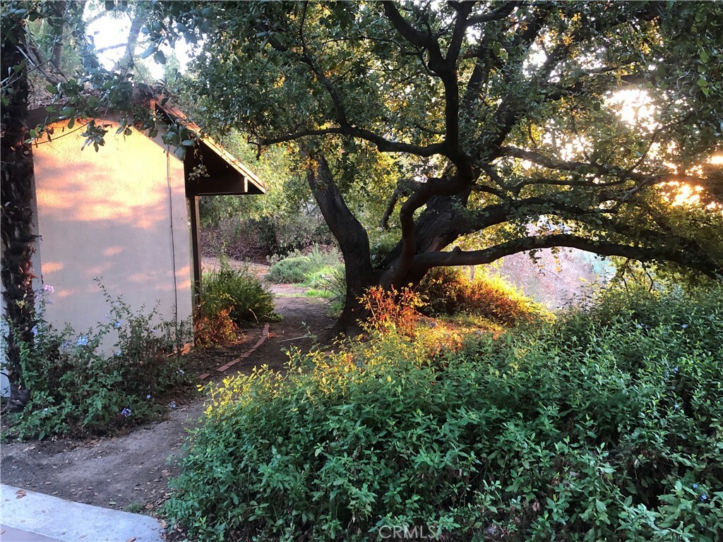 Property Photo: 390 N San Rafael Avenue CA 91105