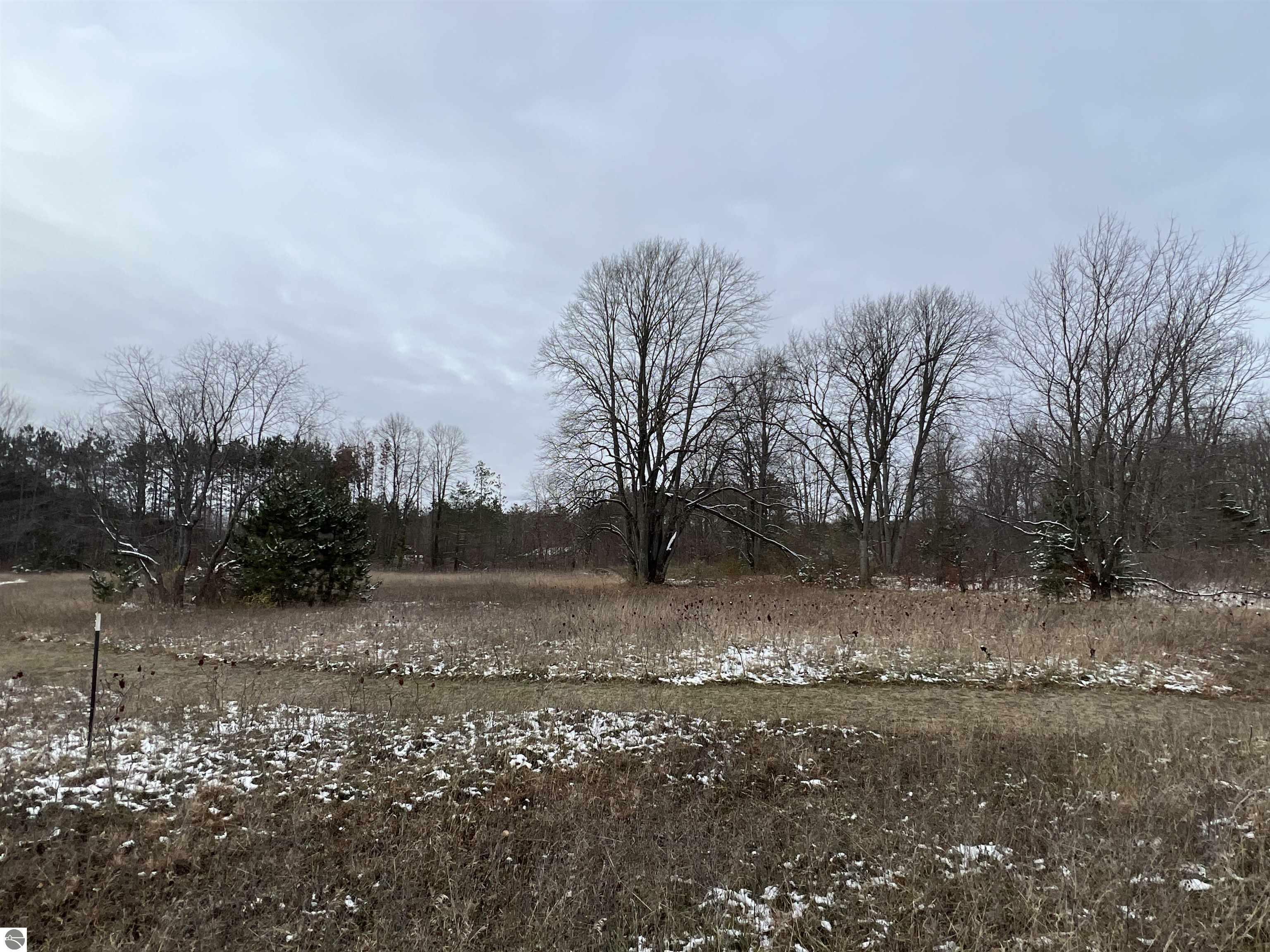 Property Photo:  Lot D Red Cardinal Lane  MI 49637 