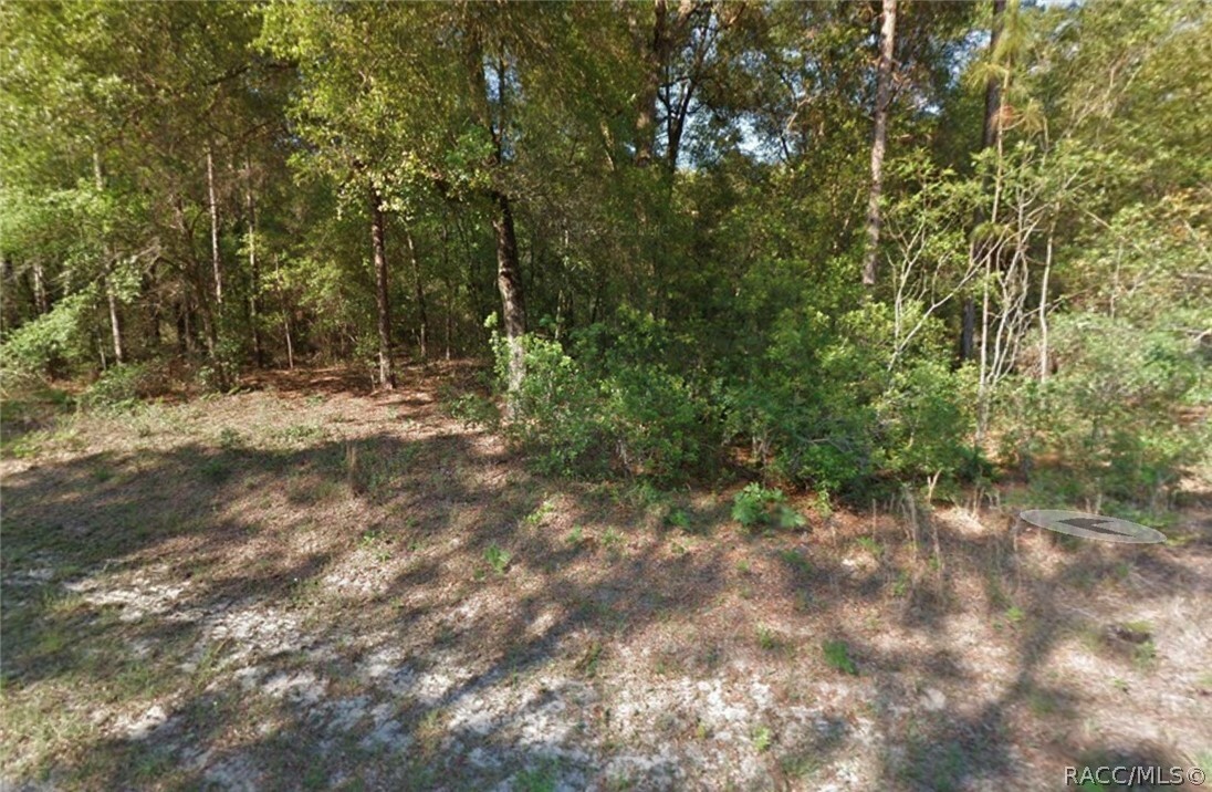 Property Photo:  11048 N Adler Drive  FL 34434 